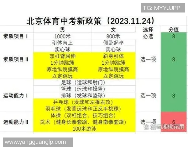 体育生高考培训全攻略助你轻松应对高考挑战实现梦想目标
